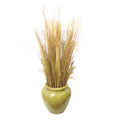Herbes naturelles avec cycas dans un pot de fleurs toscan