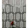 Tuscan Design Mirror French Pattern 6" X 6" Mosaic
