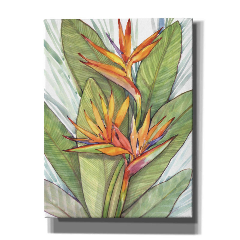 «Tropical Botanical Paradise I» par Tim O'toole, art mural sur toile, H 16 po x l 12 po x P 0,75 po