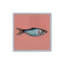 Reproduction d'art, "Simple sardine I" par Kate Jarvik Birch-131109915-131109917-131109921