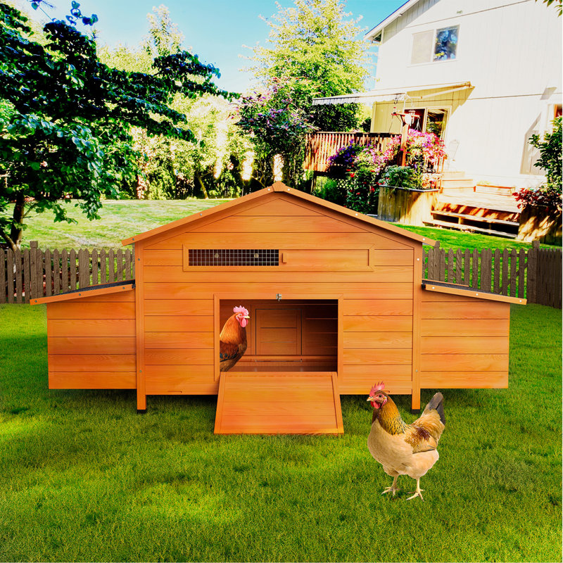 Grand poulailler en bois avec nichoir, toit imperméable, serrure sécuritaire, poulailler ventilé avec perchoir et plateau coulissant pour un nettoyage facile