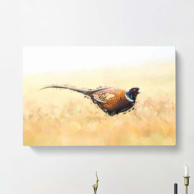 A Pheasant Bird In Abstract - Wrapped Canvas, 35cm H x 50cm W x 3cm D