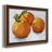 " Citrus Grouping I "-307740079-313185230