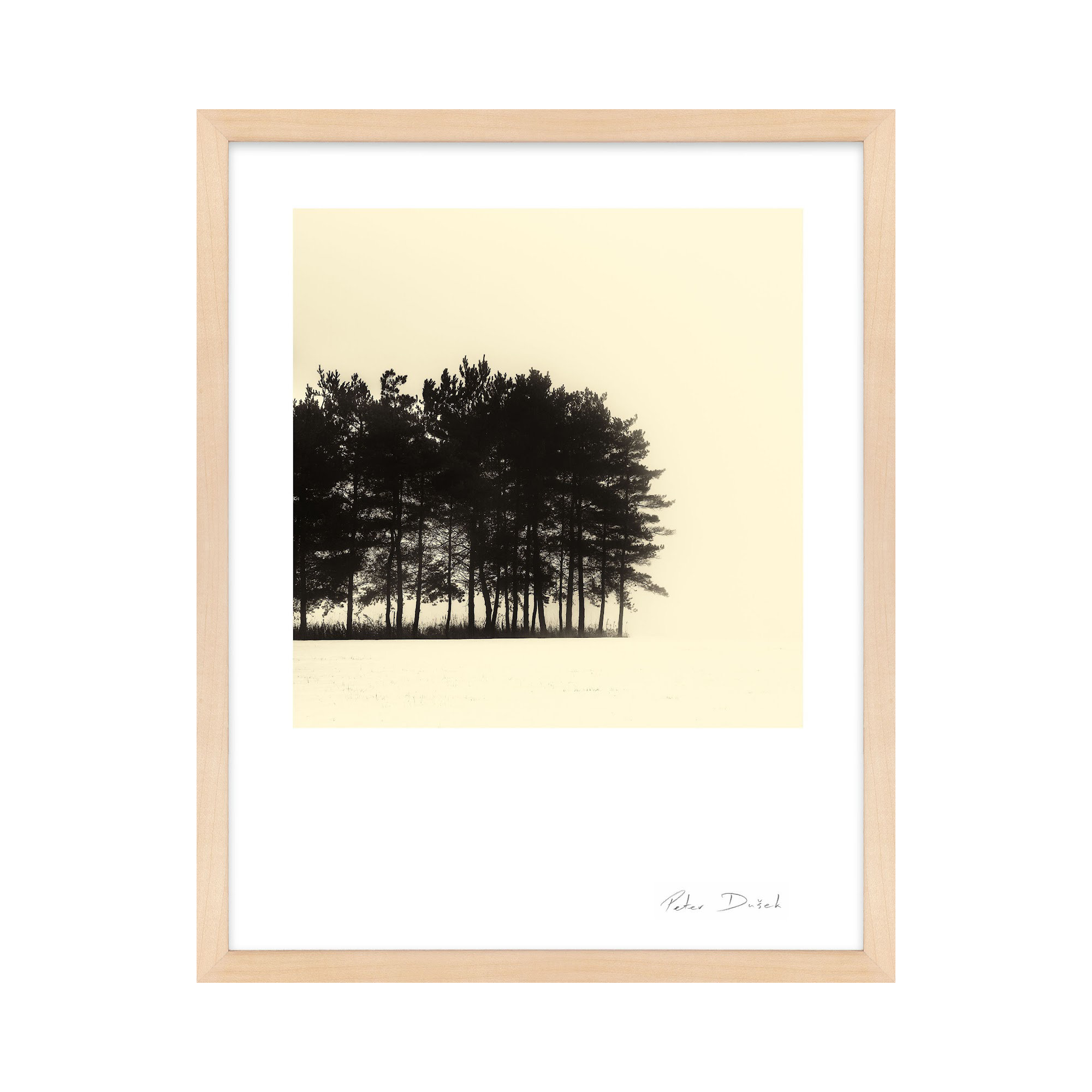 Copse by Peter Dušek, Brown, 30" H x 24" W x 1.25" D