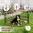 24in Foldable Metal Exercise Pen/pet Playpen