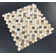 0.75" x 0.75" Natural Stone Penny Round Mosaic Wall & Floor Tile