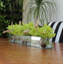 Casa Moderna Glass Plate Orchids Floral Arrangement in Planter