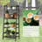 Grata 19'' W Solid Wood Shelving Unit