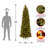 Downswept Douglas Fir Pencil Slim Tree with Clear Lights-1807687422