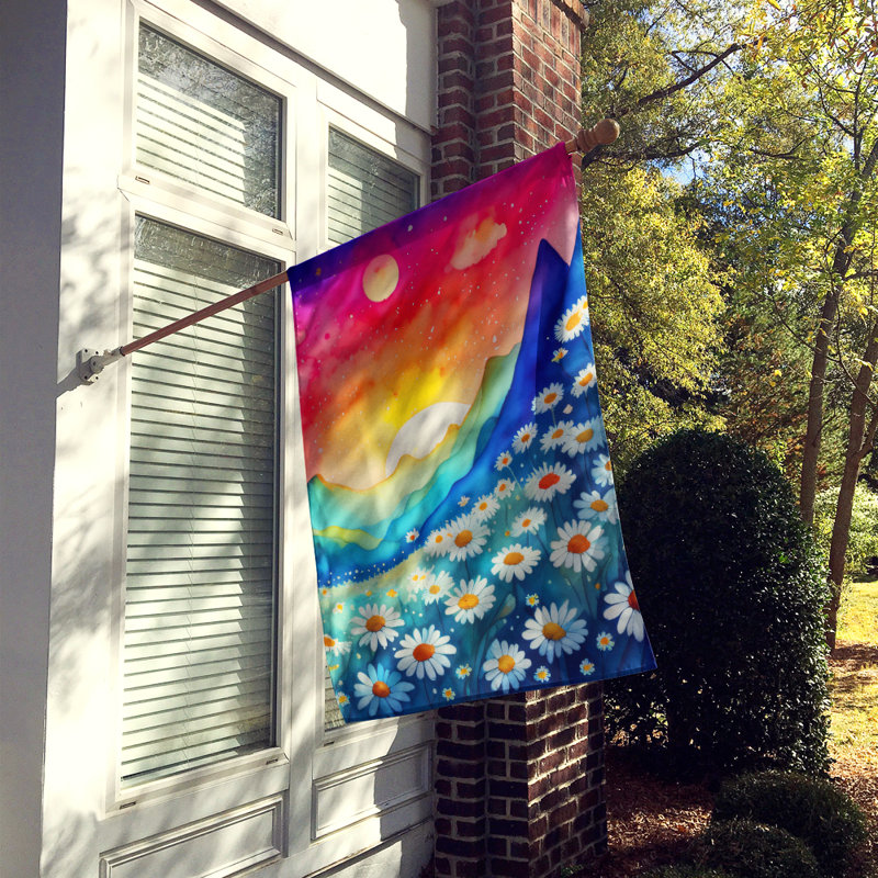 Drapeau de maison en polyester à double face H 40 po x l 28 po
