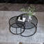 Nikkia Frame Coffee Table