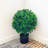 20.98'' Faux Boxwood Topiary