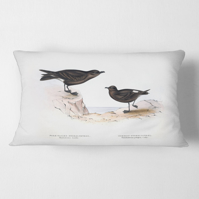 Housse et insert d'oreiller rectangulaire Bird of Europe III
