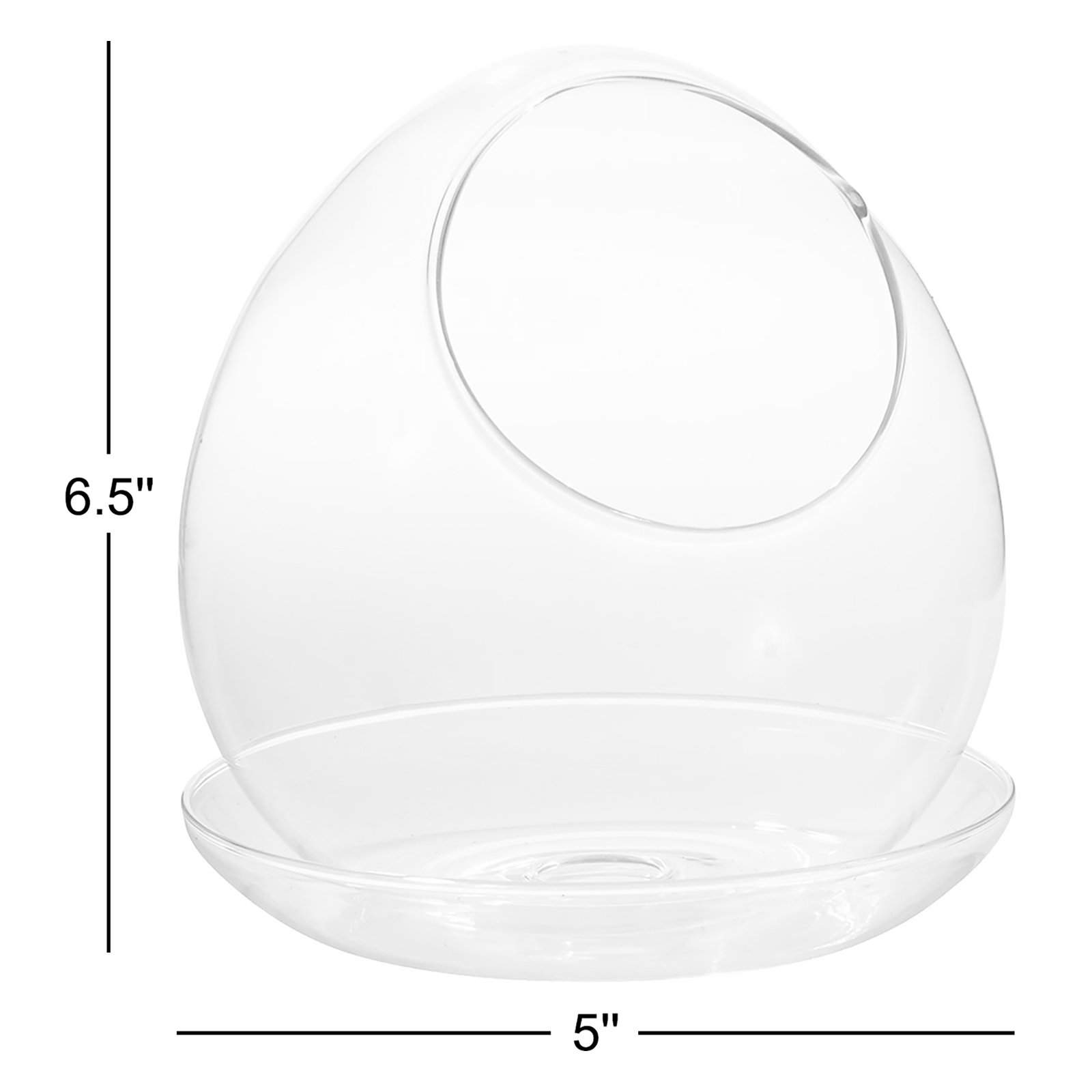 Juhani Handmade Glass Terrarium