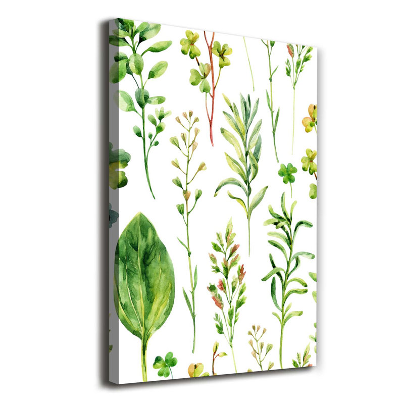 Weeds And Herbs - Wrapped Canvas Print