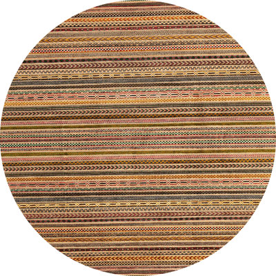 Striped Indoor Rug