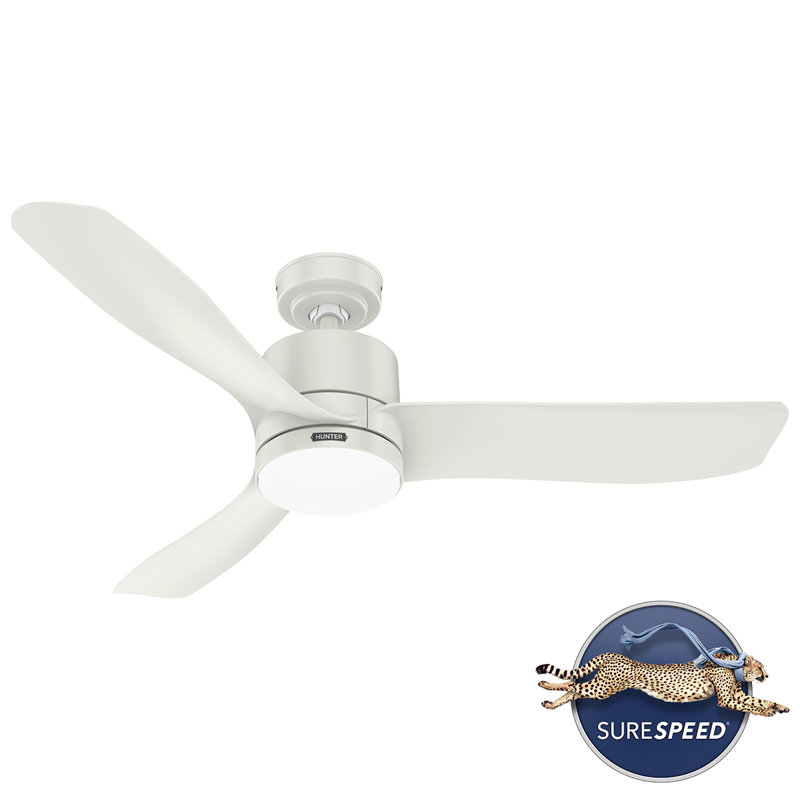 Hunter 52 Inch Bolsa Damp Rated Ceiling Fan With Lights And Remote, White