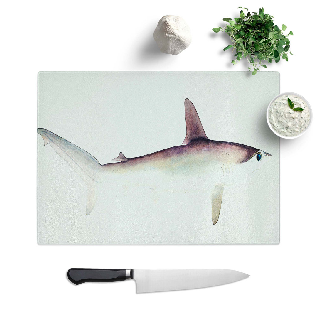 Glass Illustration of A Hammerhead Shark by F.E. Clarke Chopping Board
