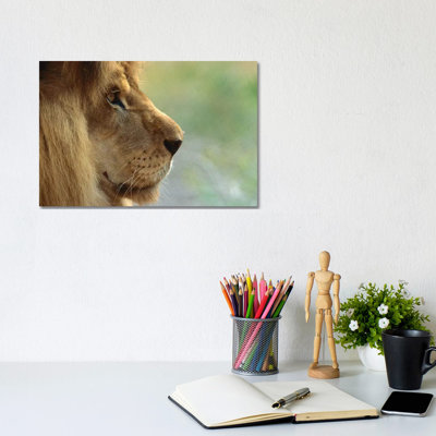 African Lion Male Portrait by ZSSD - Wrapped Canvas Print