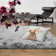 Plush Deep Pile Shaggy Silver Rug