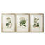 Antique Turpin Botanical I - reproduction sur mesure encadrée de qualité supérieure - 3 pièces-1401767975-1401767968