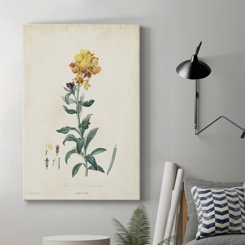 «Traditional Botanical III», impression sur toile tendue, H 60 po x l 40 po x P 1 po