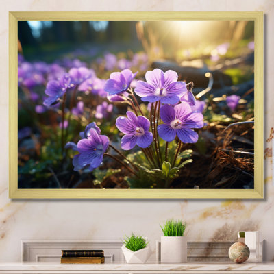 " Violets Field At Sunrise II "