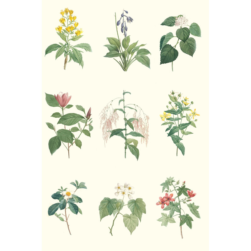 Tableau botanique doux, H 18 po x l 12 po