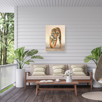 Toile d'extérieur David Stribble Tiger16