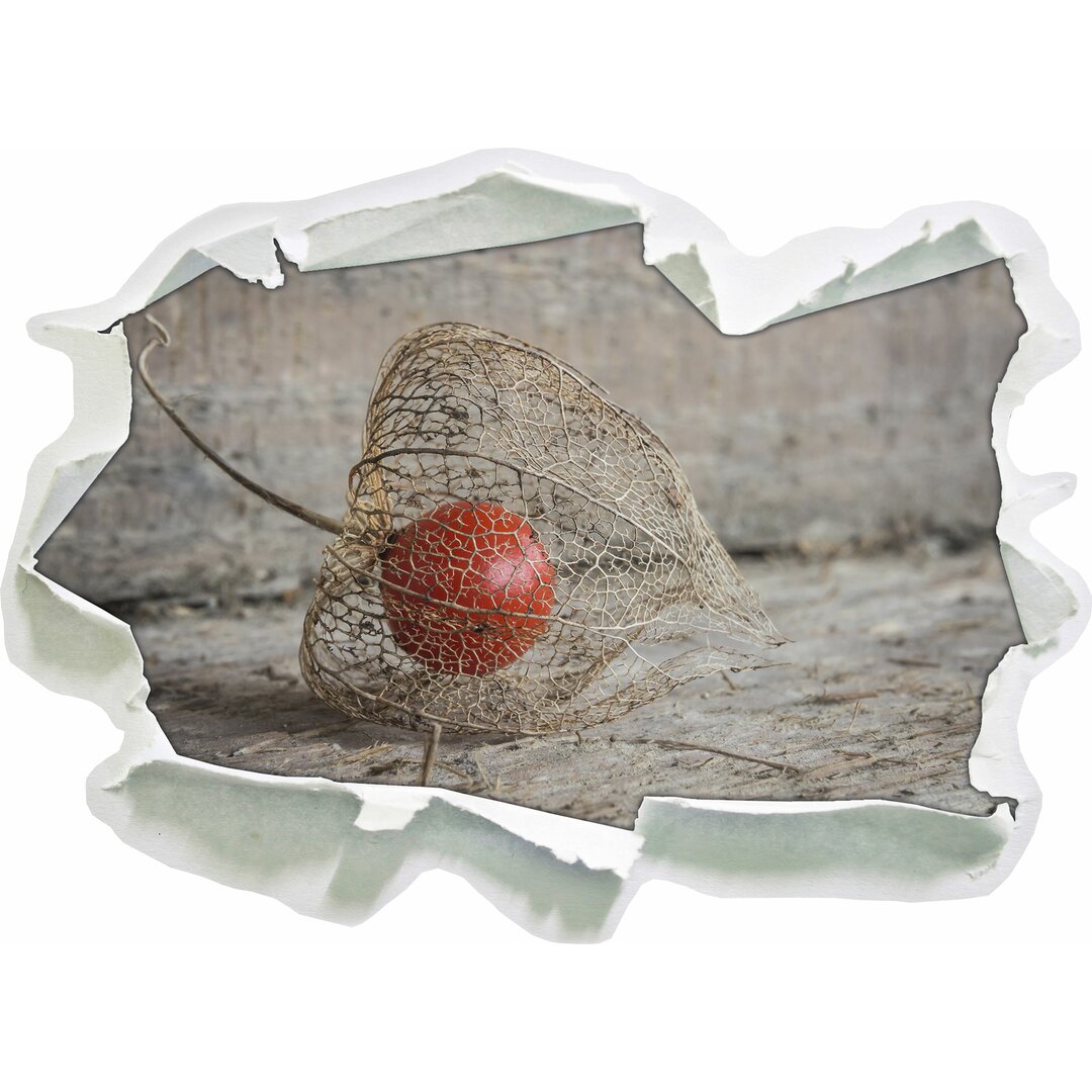 Wandtattoo Physalis