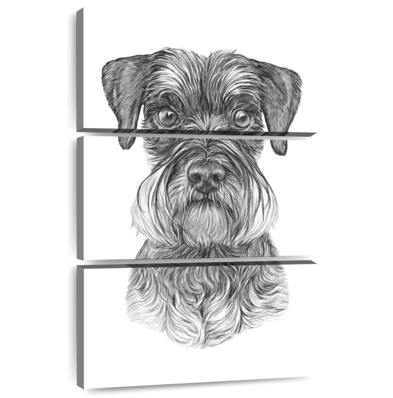 Brampt Schnauzer, 38" H x 24" W