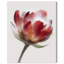 Crimson Core II Abstract Canvas Print by Oliver Gal, Black Frame, 16 x 20-1356814482-1356814490