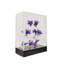 FixtureDisplays® - Armoire transparente en acrylique avec étagère amovible et étagère en plexiglas avec serrure et clé
