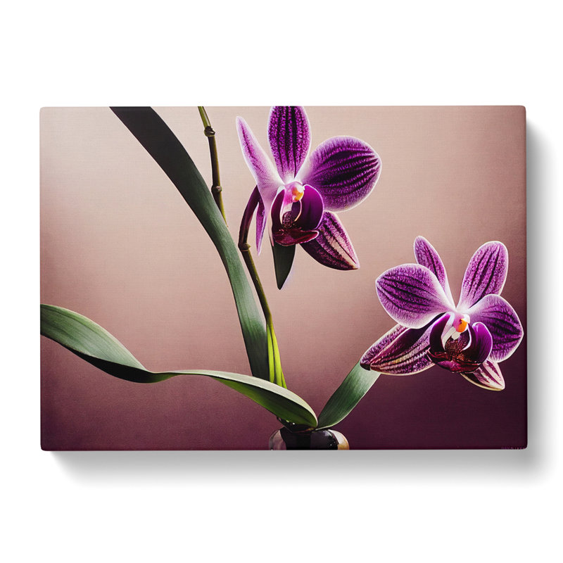 Bright Orchid Flowers - Wrapped Canvas, 35cm H x 50cm W x 3cm D