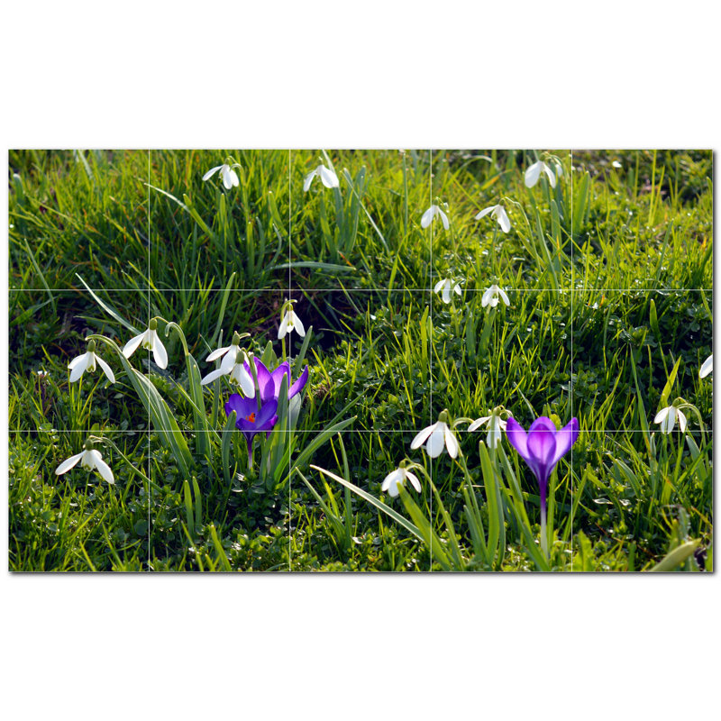Photo de printemps 8 x 8