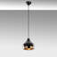 Luminaire suspendu en forme de dôme à 1 lumière Julius-1665281745