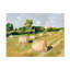 Hay Field II par Ethan Harper - peinture sur toile tendue-1205758933