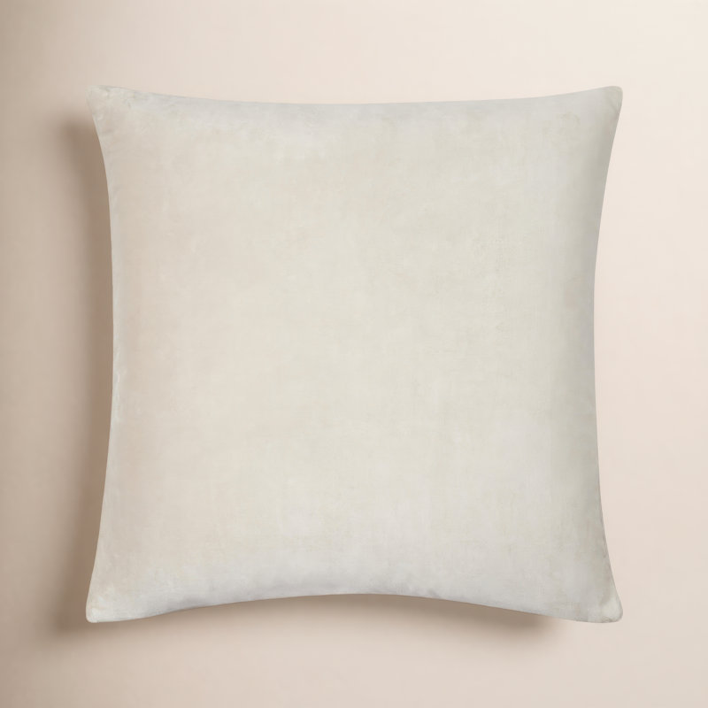 Coussin en coton Beyerne, 20 po x 20 po, Brun clair, Duvet