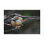 No Frame Print on Canvas-2044050075
