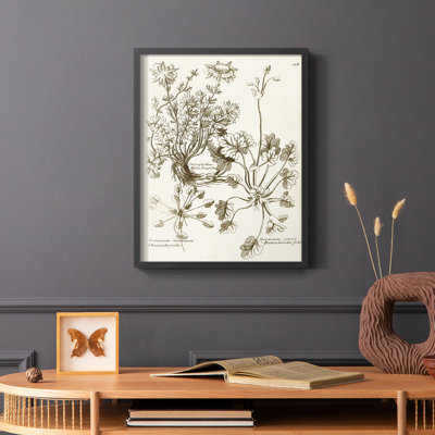«Sepia Botanical Journal», reproduction encadrée en bois massif
