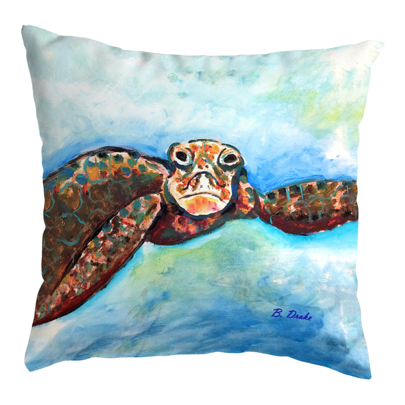 Coussin Tortue, 18 po x 18 po