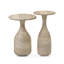 Cora Nesting End Table