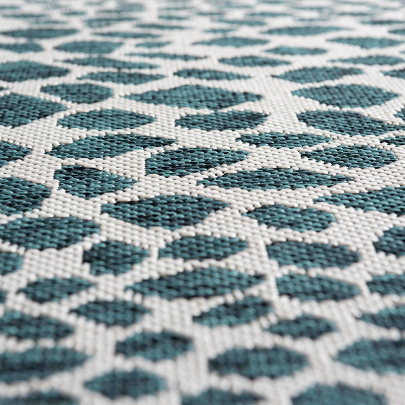 Animal Print Indoor / Outdoor Area Rug, Rectangle 183 x 274cm