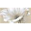 Fleur sauvage blanche abstraite - impression encadrée-1458548845-1458548834