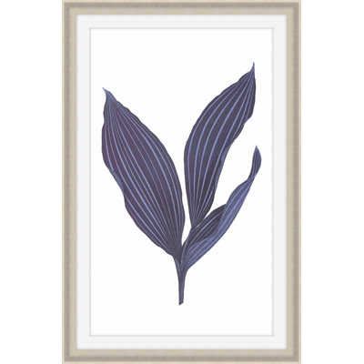 Daily Wish Blue 1 Print