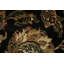 Élégant tapis carré noir et doré à motifs botaniques ornés 6 x 6 pi Agra