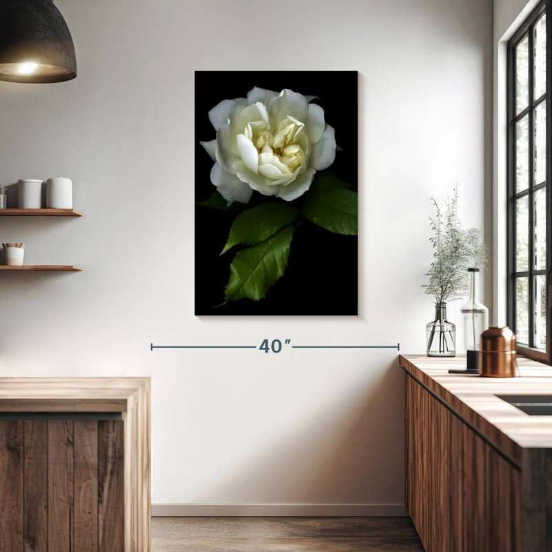 Harnek Lone White Rose, 39" H x 26" W