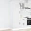 Kitchen Cupboard Kalmar Engineered Wood-1308268247