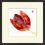 Tulip Study 4 Painting