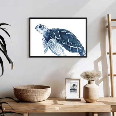 Tortue dans les bleus